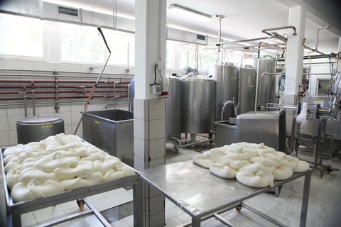 Млекара Златарка